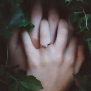 הצעת נישואין ביער